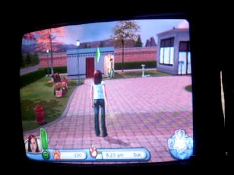 The Sims 2 Pets Psp Cheats